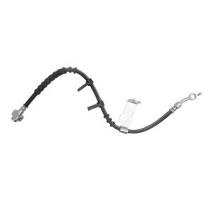 Ford F-150 Lightning Brake Hose - Front - R1 Concepts - `21-`25